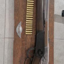 Shotgun  (csak nálunk)