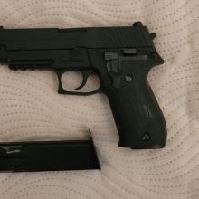 WE SIG P226 greengas.
