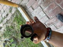 Reddot